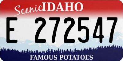 ID license plate E272547