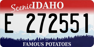 ID license plate E272551