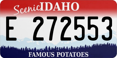 ID license plate E272553