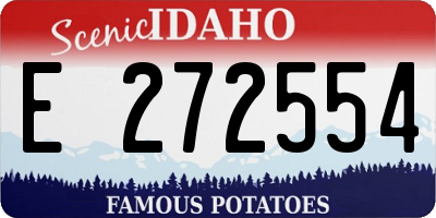 ID license plate E272554