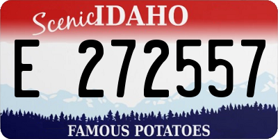 ID license plate E272557