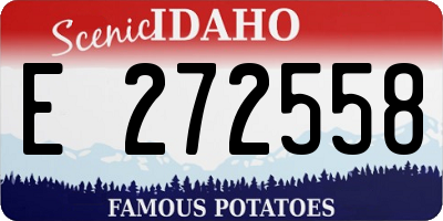 ID license plate E272558