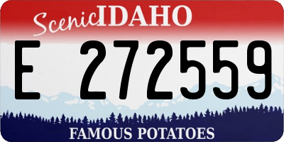 ID license plate E272559