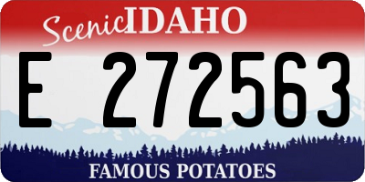 ID license plate E272563