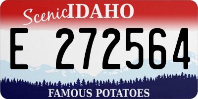 ID license plate E272564