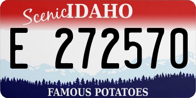 ID license plate E272570
