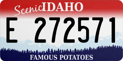 ID license plate E272571
