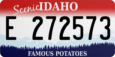 ID license plate E272573