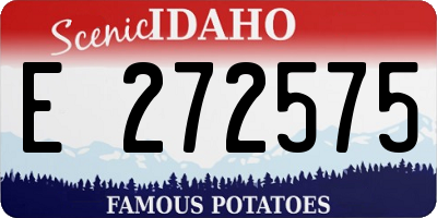 ID license plate E272575