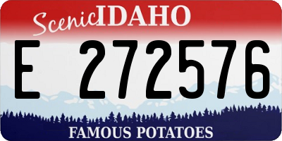 ID license plate E272576