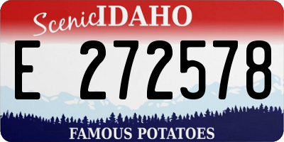 ID license plate E272578