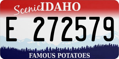 ID license plate E272579
