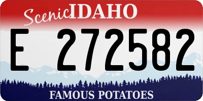 ID license plate E272582