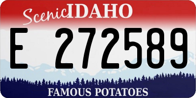 ID license plate E272589