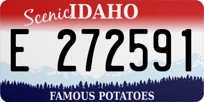ID license plate E272591