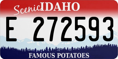 ID license plate E272593