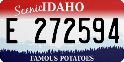 ID license plate E272594