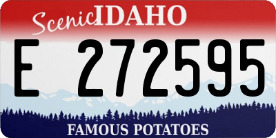 ID license plate E272595