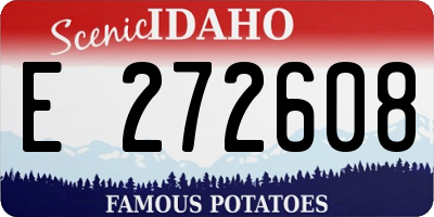 ID license plate E272608