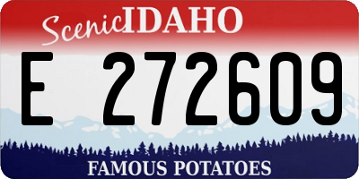 ID license plate E272609