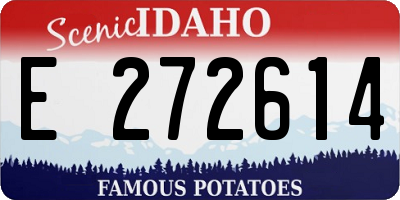 ID license plate E272614