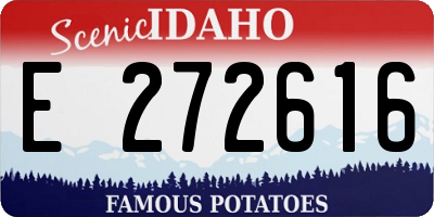 ID license plate E272616