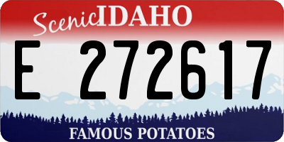 ID license plate E272617