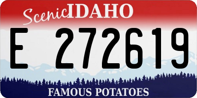 ID license plate E272619