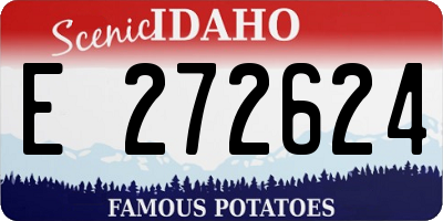 ID license plate E272624