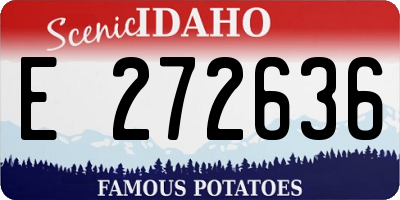 ID license plate E272636