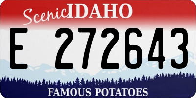 ID license plate E272643