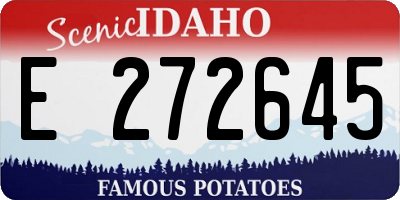 ID license plate E272645