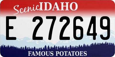 ID license plate E272649