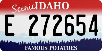 ID license plate E272654