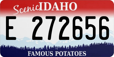 ID license plate E272656