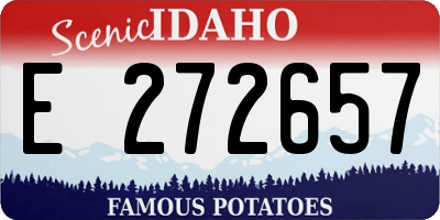 ID license plate E272657
