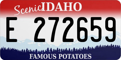 ID license plate E272659