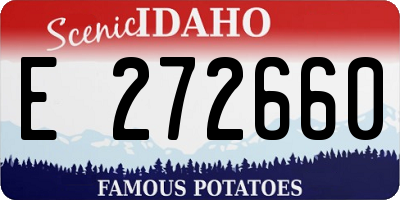 ID license plate E272660