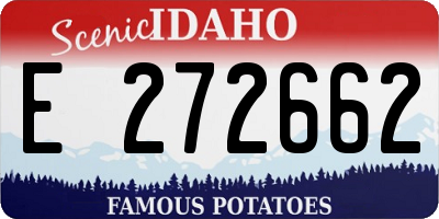 ID license plate E272662