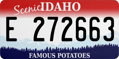 ID license plate E272663