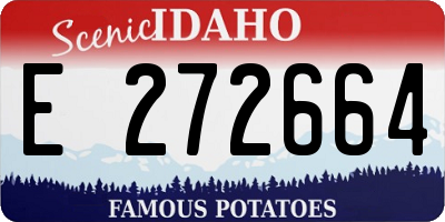 ID license plate E272664