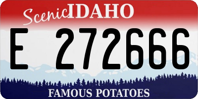 ID license plate E272666