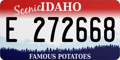ID license plate E272668