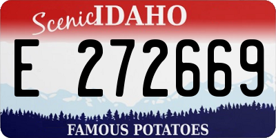 ID license plate E272669