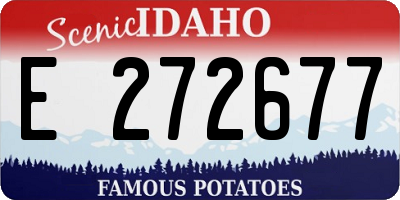ID license plate E272677