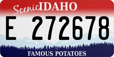 ID license plate E272678