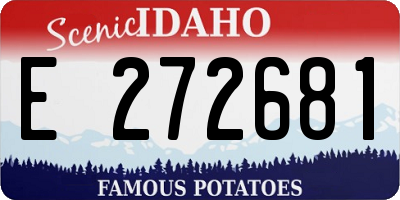 ID license plate E272681
