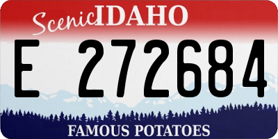 ID license plate E272684