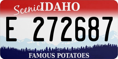 ID license plate E272687