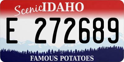 ID license plate E272689